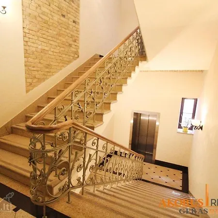 Apartment Luxury In Downtown Central Wilna