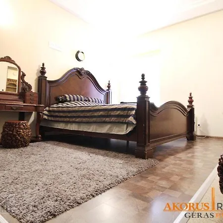 Luxury In Downtown Central Apartment Wilna